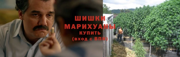 скорость Ельня