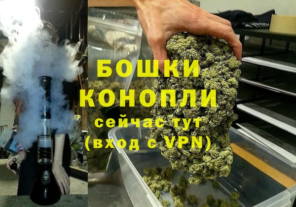 скорость Ельня