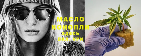 скорость Ельня