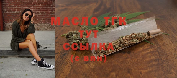 скорость Ельня