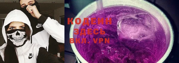 скорость Ельня