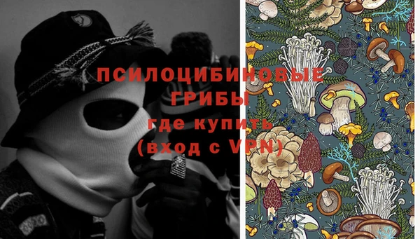 скорость Ельня