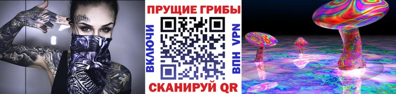 Псилоцибиновые грибы Psilocybe что такое Калачинск